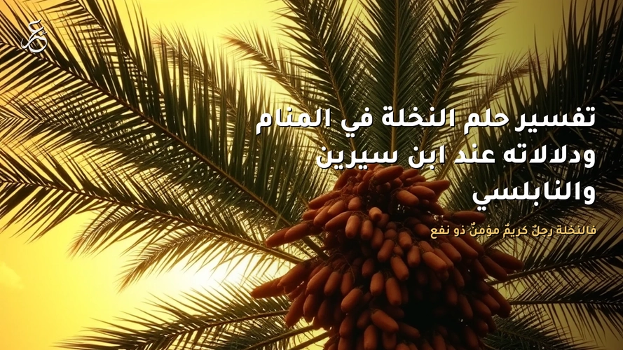 تفسير حلم النخلة في المنام ودلالاته عند ابن سيرين والنابلسي