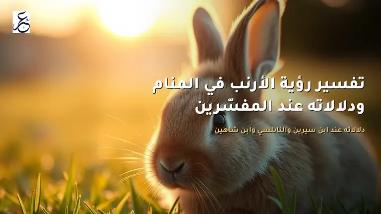 تفسير رؤية الأرنب في المنام ودلالاته عند المفسّرين