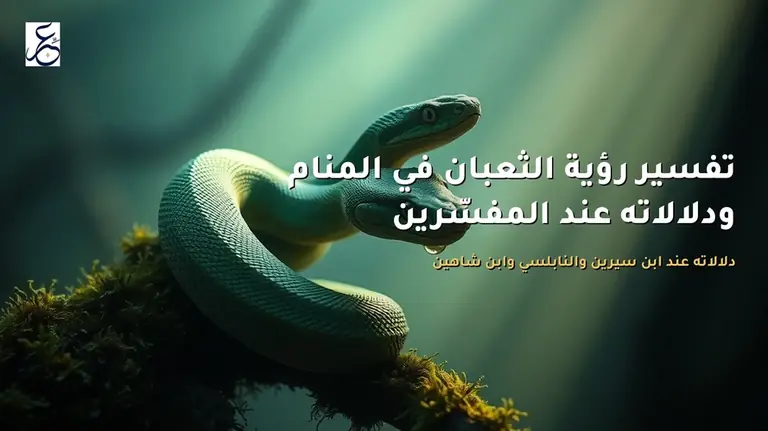 تفسير رؤية الثعبان في المنام ودلالاته عند المفسّرين