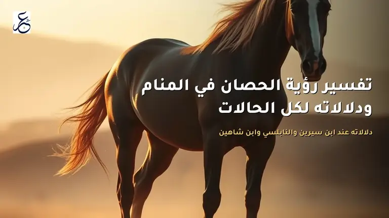 تفسير رؤية الحصان في المنام ودلالاته لكل الحالات