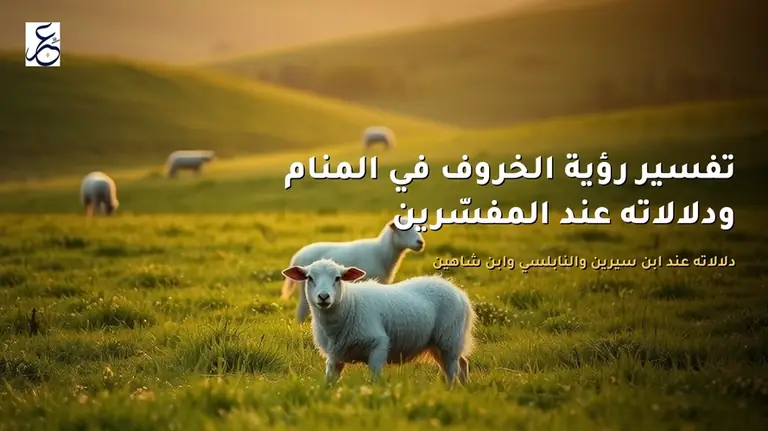 تفسير رؤية الخروف في المنام ودلالاته عند المفسّرين