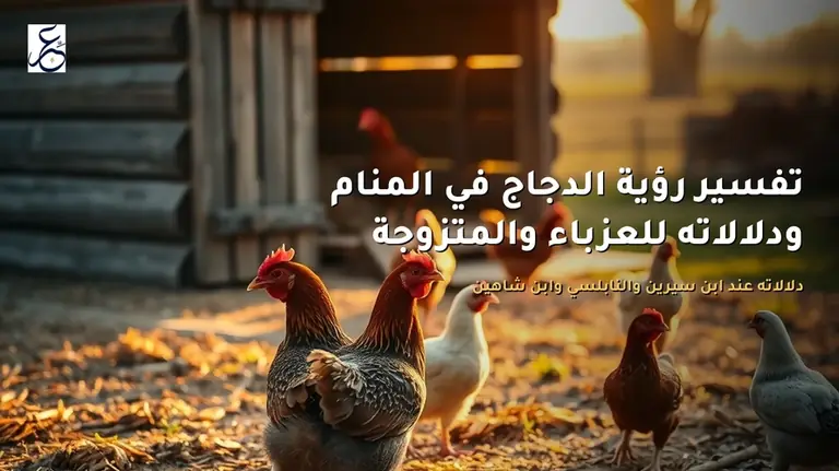 تفسير رؤية الدجاج في المنام ودلالاته للعزباء والمتزوجة