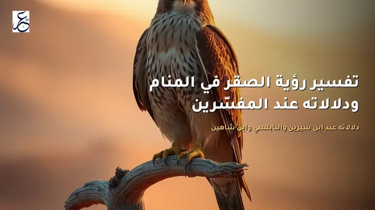 تفسير رؤية الصقر في المنام ودلالاته عند المفسّرين