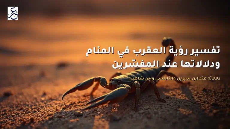 تفسير رؤية العقرب في المنام ودلالاتها عند المفسّرين