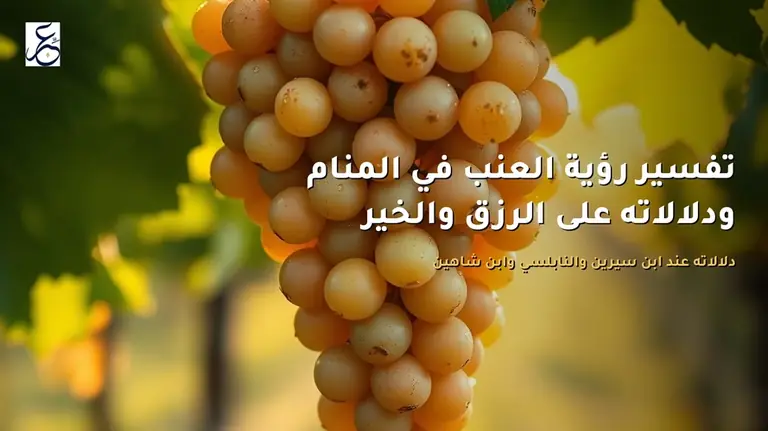 تفسير رؤية العنب في المنام ودلالاته على الرزق والخير