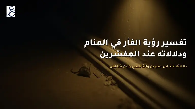 تفسير رؤية الفأر في المنام ودلالاته عند المفسّرين