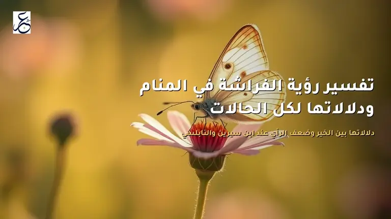 تفسير رؤية الفراشة في المنام ودلالاتها لكل الحالات