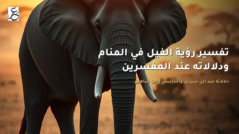 تفسير رؤية الفيل في المنام ودلالاته عند المفسرين