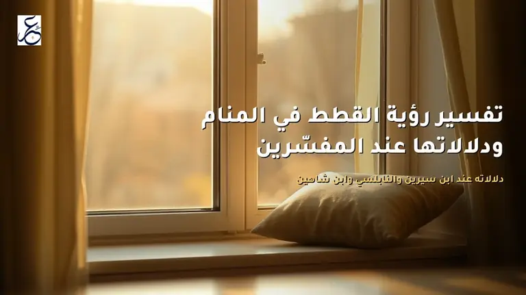 تفسير رؤية القطط في المنام ودلالاتها عند المفسّرين