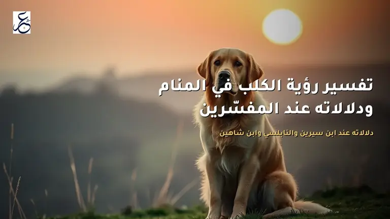تفسير رؤية الكلب في المنام ودلالاته عند المفسّرين