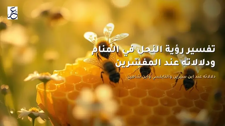 تفسير رؤية النحل في المنام ودلالاته عند المفسّرين